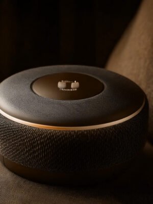 HarmonyHub Portable Speaker